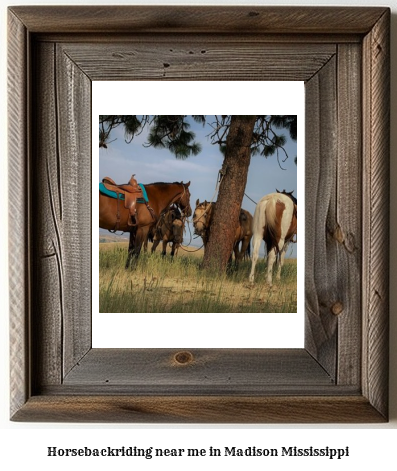 horseback riding near me in Madison, Mississippi